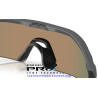Radar Plate Matte Carbon / Prizm Ruby (OO9495D-03)