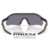 Radar Plate Matte Black / Prizm Grey (OO9495D-06)