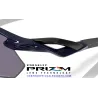 Radar Plate Polished Navy / Prizm Grey (OO9495D-07)
