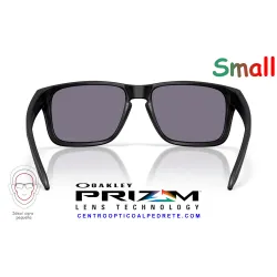Holbrook S Matte Black / Prizm Grey (OO9509-02)