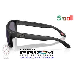 Holbrook S Matte Black / Prizm Grey (OO9509-02)