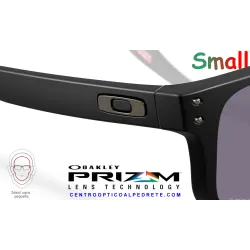 Holbrook S Matte Black / Prizm Grey (OO9509-02)