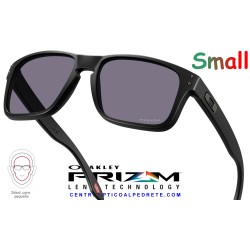 Holbrook S Matte Black / Prizm Grey (OO9509-02)