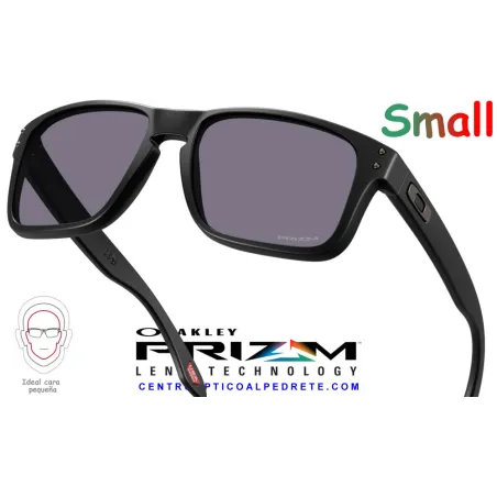 Holbrook S Matte Black / Prizm Grey (OO9509-02)