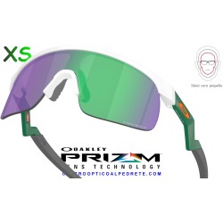 Resistor Matte White / Prizm Jade (OJ9010-33)