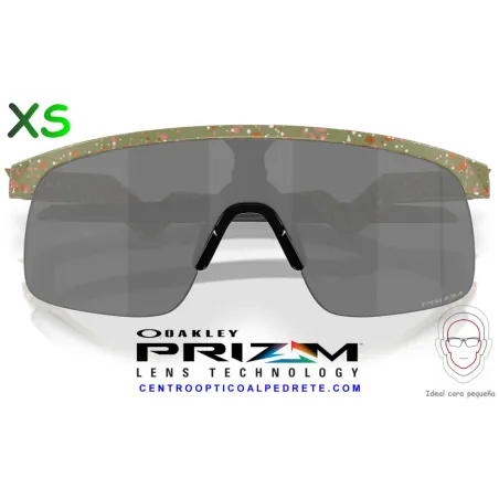 Resistor Fern Terrazzo / Prizm Black (OJ9010-32)