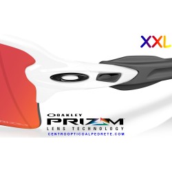 Oakley Flak 2.0 XXL Polished White / Prizm Field (OO9488-03)