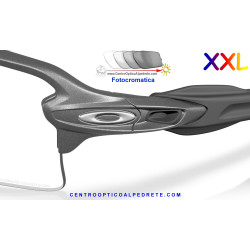 Oakley Flak 2.0 XXL Steel / Clear to Black Iridium Photochromic (OO9488-07)