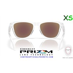 Oakley Frogskins S Polished Clear / Prizm Sapphire (OO9508-01)