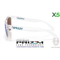 Oakley Frogskins S Polished Clear / Prizm Sapphire (OO9508-01)