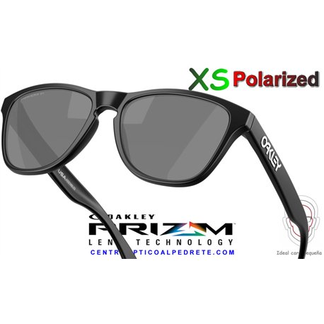 Oakley Frogskins S Matte Black / Prizm Black Polarized (OO9508-06)