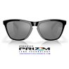 Frogskins Polished Black / Prizm Black