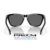 Frogskins Polished Black / Prizm Black