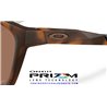 Oakley Paracord Matte Brown Tortoise / Prizm Tungsten (OO9506-03)