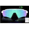 Oakley Radar EV S Polished White / Prizm Sapphire (OO9510-01)