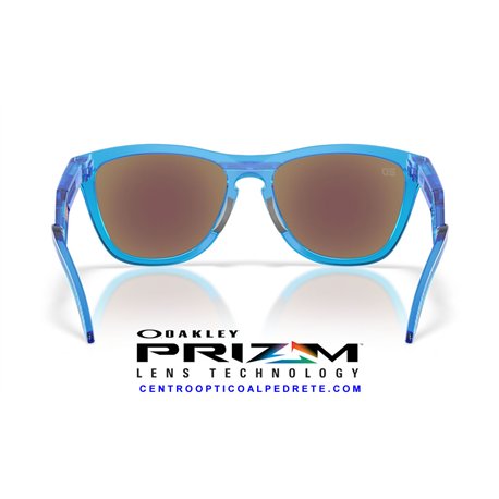 Oakley Frogskins Hybrid Matt Acid Blue | Original sunglasses from