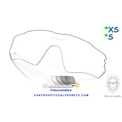 Radar EV S Lente Clear to Black Iridium Photochromic Vented (AOO9510LS-000011)