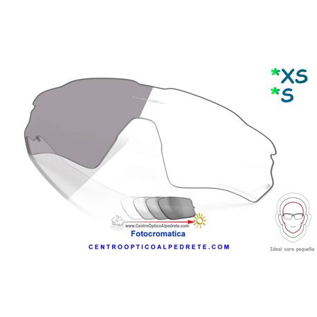 Radar EV S Lente Clear to Black Iridium Photochromic Vented (AOO9510LS-000011)
