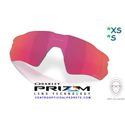 Radar EV S Lente Prizm Field Vented (AOO9510LS-000002)