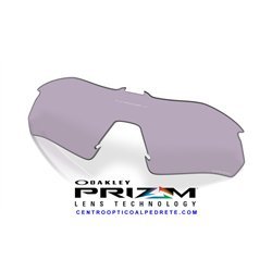 Oakley Radar Plate Lente Prizm Slate (OO9495DLS-000008)