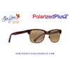 Maui Jim Kawika Tortoise with Antique Gold / HCL Bronze (H257-16C)