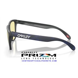Frogskins Matte Carbon / Prizm Gaming 2.0 (OO9013-L4)