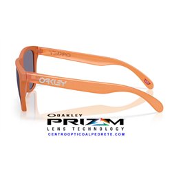 Oakley Frogskins Matte Ginger / Prizm Grey (OO9013-M1)