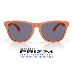 Oakley Frogskins Matte Ginger / Prizm Grey (OO9013-M1)