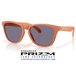 Oakley Frogskins Matte Ginger / Prizm Grey (OO9013-M1)