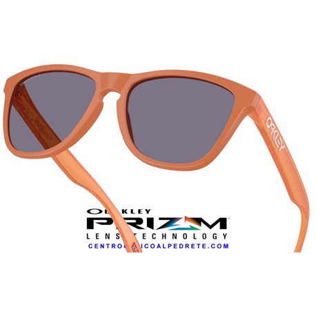 Oakley Frogskins Matte Ginger / Prizm Grey (OO9013-M1)
