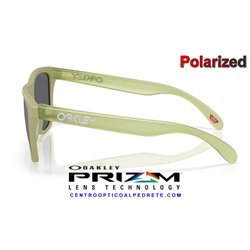 Oakley Frogskins Matte Fern / Prizm Black Polarized (OO9013-M2)