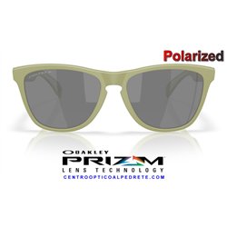 Oakley Frogskins Matte Fern / Prizm Black Polarized (OO9013-M2)
