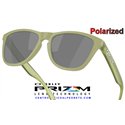 Oakley Frogskins Matte Fern / Prizm Black Polarized (OO9013-M2)