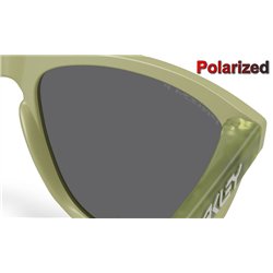 Oakley Frogskins Matte Fern / Prizm Black Polarized (OO9013-M2)
