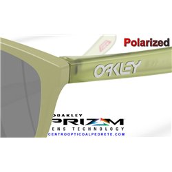 Oakley Frogskins Matte Fern / Prizm Black Polarized (OO9013-M2)