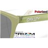 Oakley Frogskins Matte Fern / Prizm Black Polarized (OO9013-M2)