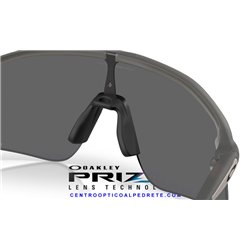 Oakley Stunt Devil Grey Smoke / Prizm Black (OO9517-01)