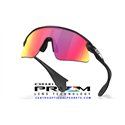 Oakley Stunt Devil Matte Black / Prizm Road (OO9517-02)