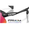 Oakley Stunt Devil Matte Black / Prizm Road (OO9517-02)