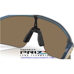 Oakley Stunt Devil Matte Transparent Abyss / Prizm 24k (OO9517-05)
