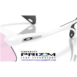 Oakley Stunt Devil Matte White / Prizm Low Light (OO9517-07)