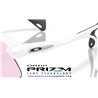 Oakley Stunt Devil Matte White / Prizm Low Light (OO9517-07)