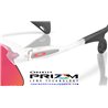 Oakley Stunt Devil Matte Clear / Prizm Field (OO9517-10)