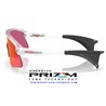 Oakley Stunt Devil Matte Clear / Prizm Field (OO9517-10)