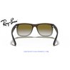 Ray-Ban Justin Brown / Green Gradient (RB4165 854/7Z)