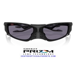 Oakley Plantaris Matte Black / Prizm Grey (OO9529-01)