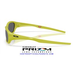 Oakley TerraForma Cactus / Prizm Black (OO9530-04)