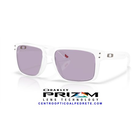 Oakley Holbrook Matte Clear / Prizm Slate (OO9102-AO)
