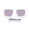 Oakley Holbrook Matte Clear / Prizm Slate (OO9102-AO)