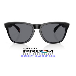 Oakley Frogskins Matte Black Grey | Gafas de Sol Originales